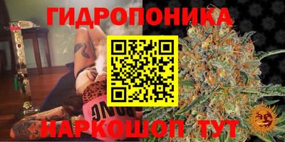 ALPHA-PVP Кунгур