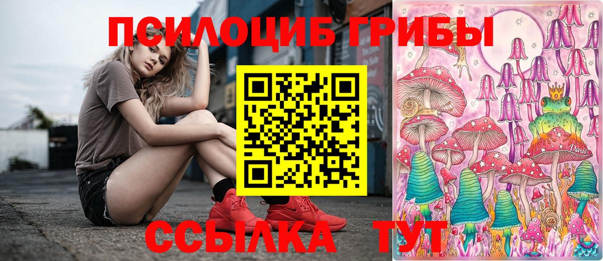 Галлюциногенные грибы Psilocybe Дмитров