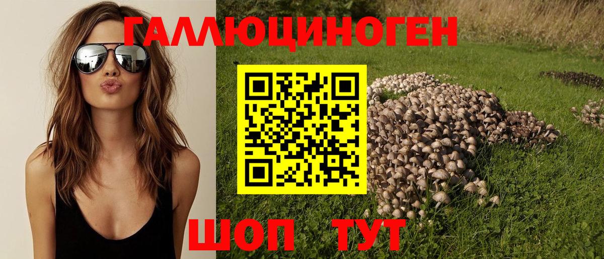 Дмитров  Псилоцибиновые грибы Psilocybe  Псилоцибиновые грибы прущие грибы  наркотики  Вход с VPN 